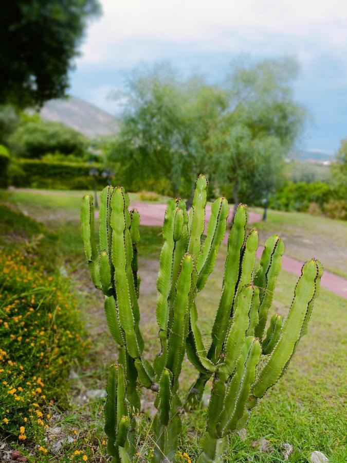 Agriturismo - B&B "La Funicolare" Francavilla Marittima Eksteriør bilde